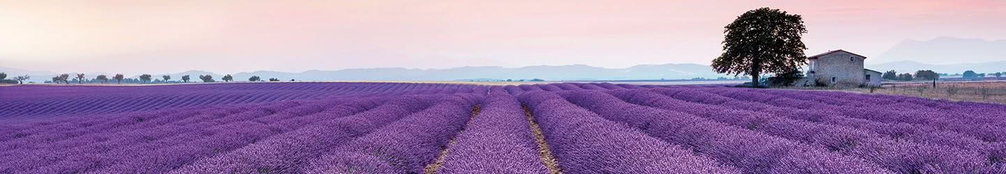 Landschaft Landschaft
