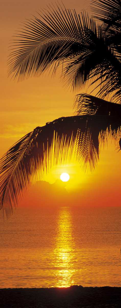 Fototapete Palmy Beach Sunrise