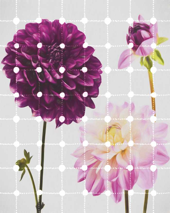 Digitaldrucktapete Flowers & Dots