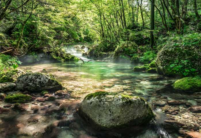 Fototapete Riverbed