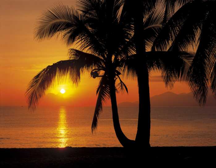 Fototapete Palmy Beach Sunrise