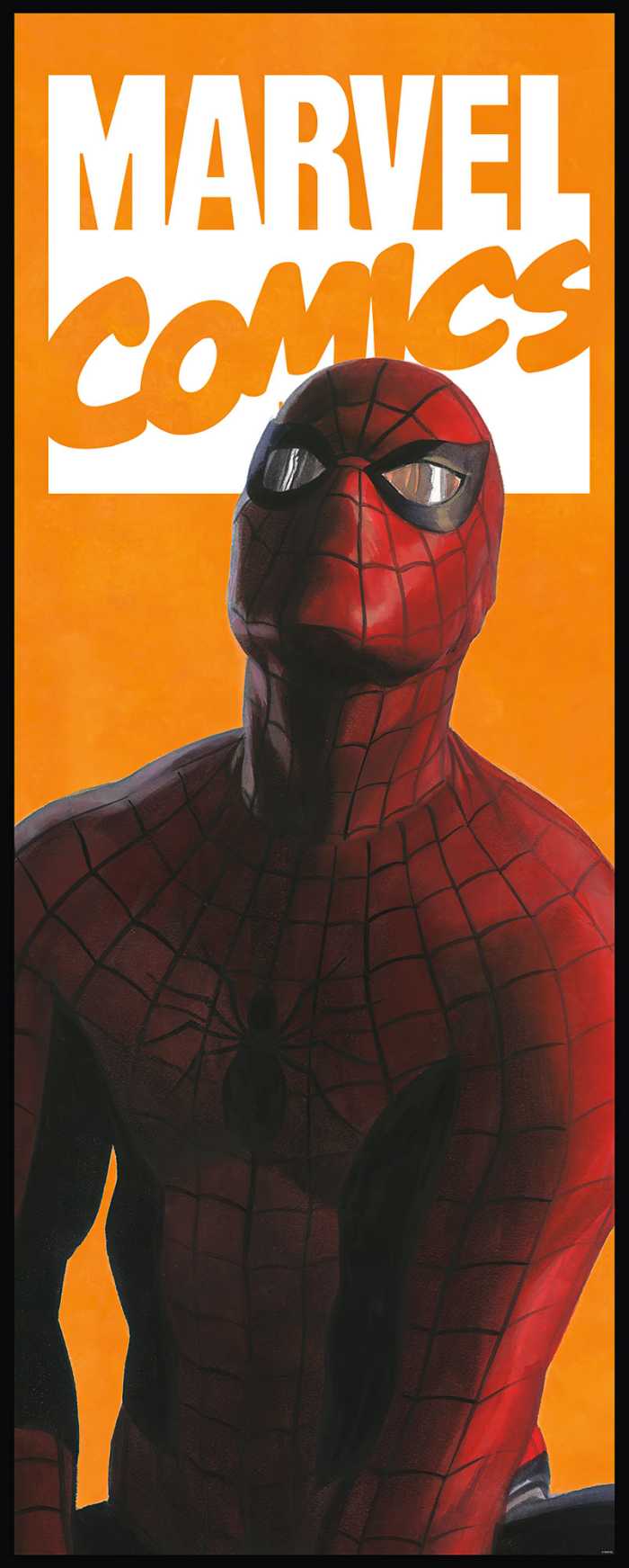 Digitaldrucktapete Spider-Man Comic