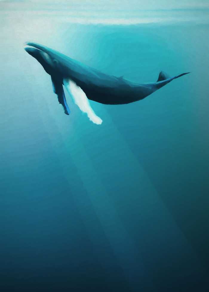 Digitaldrucktapete Artsy Humpback Whale