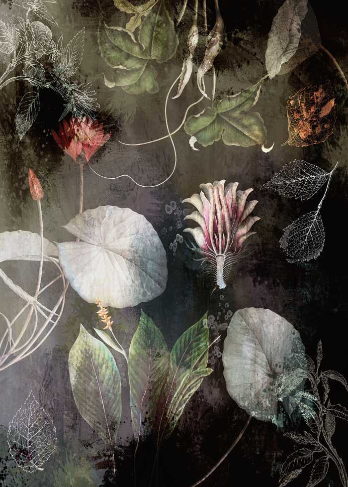 Digitaldrucktapete Night Flowers