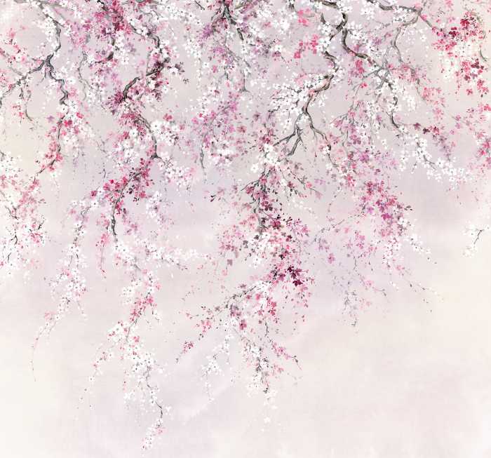 Digitaldrucktapete Kirschblüten