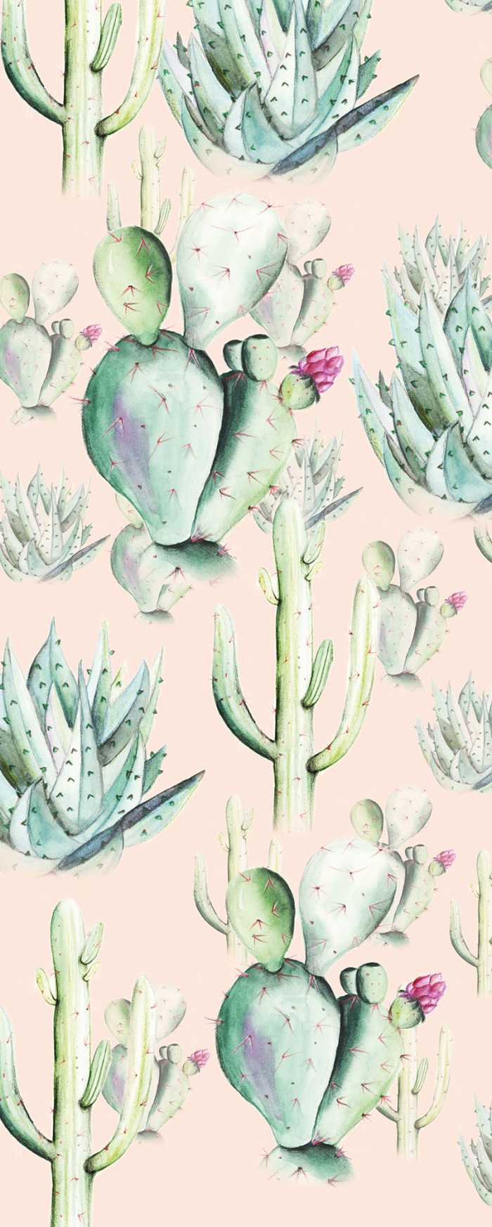 Digitaldrucktapete Cactus Rose