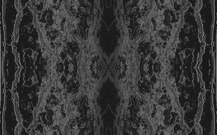 Digitaldrucktapete Oak Bark black-whitedarkgrey