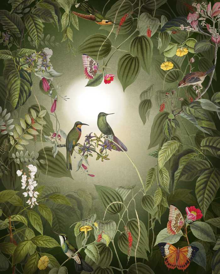 Digitaldrucktapete Wildlife Birds