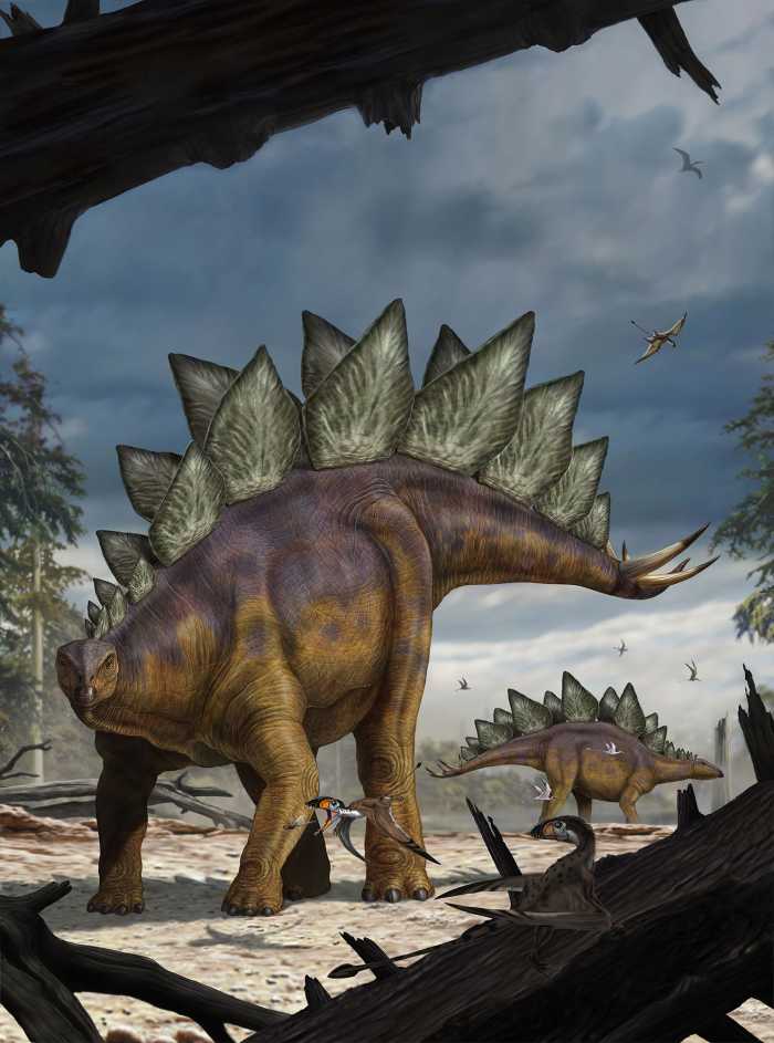 Vliestapete Stegosaurus