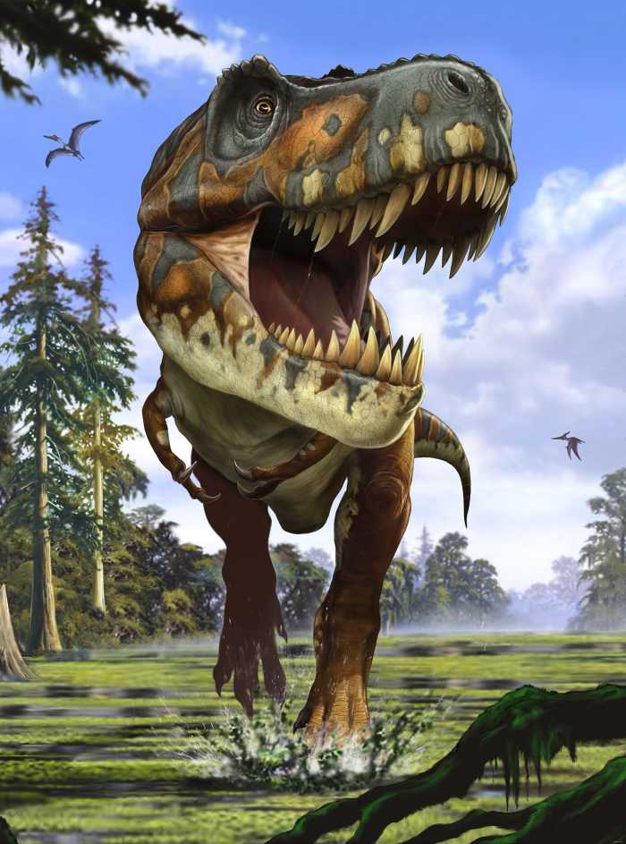 Vliestapete Tyrannosaurus Rex