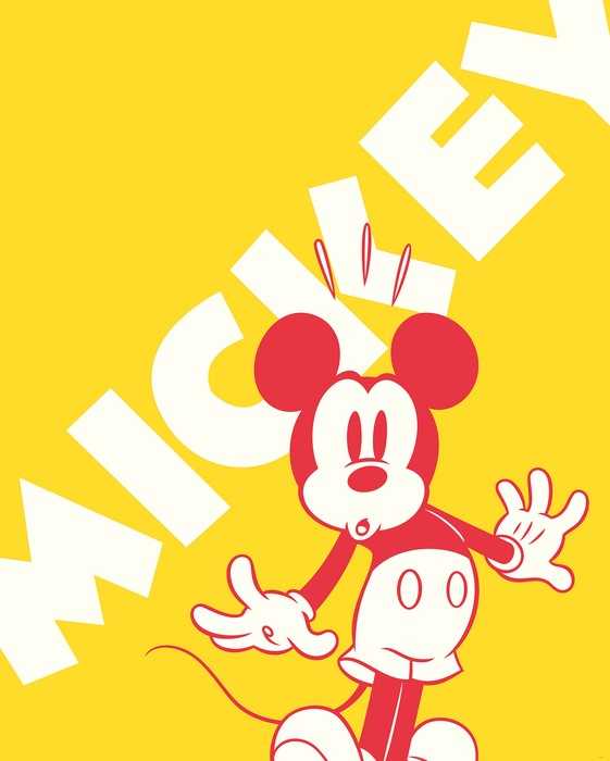 Premium Vlies Mickey Contrast