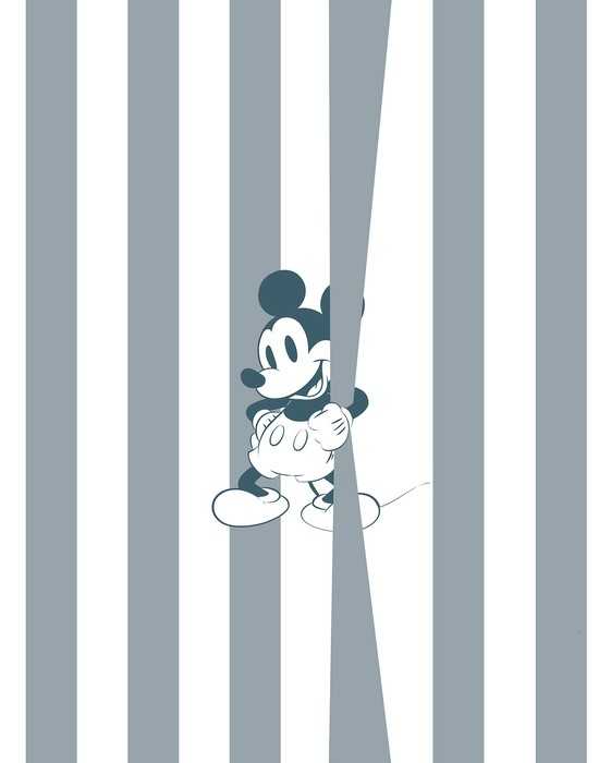 Premium Vlies Mickey Offbeat