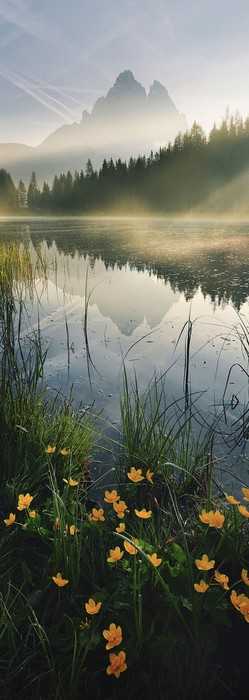 Premium Vlies Morning Mist