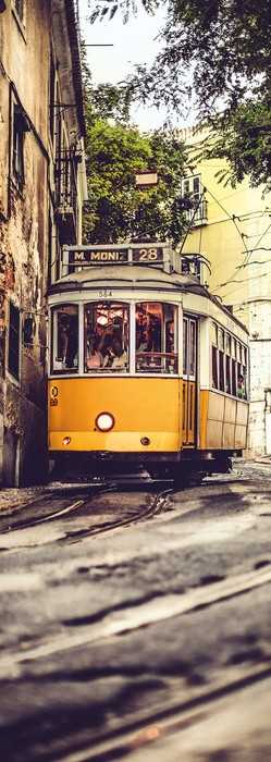 Premium Vlies Lissabon