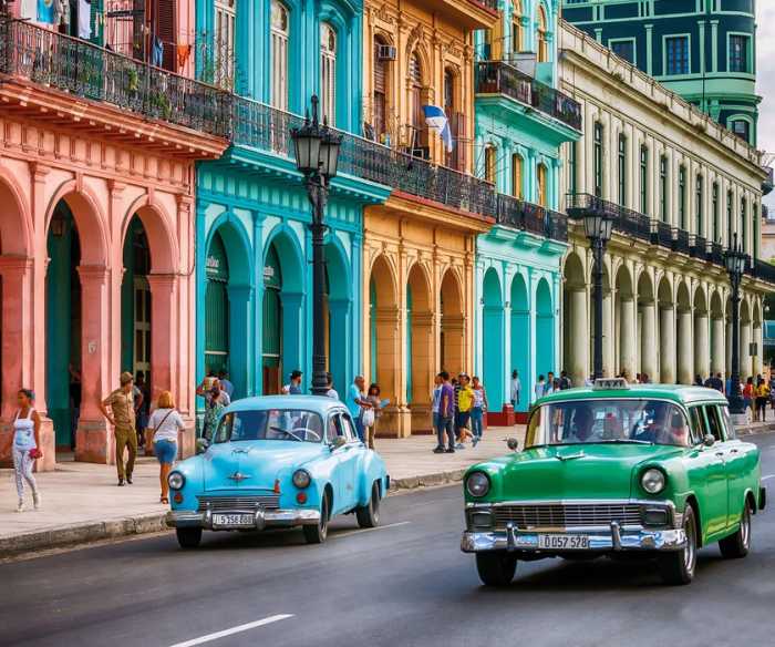 Premium Vlies Cuba