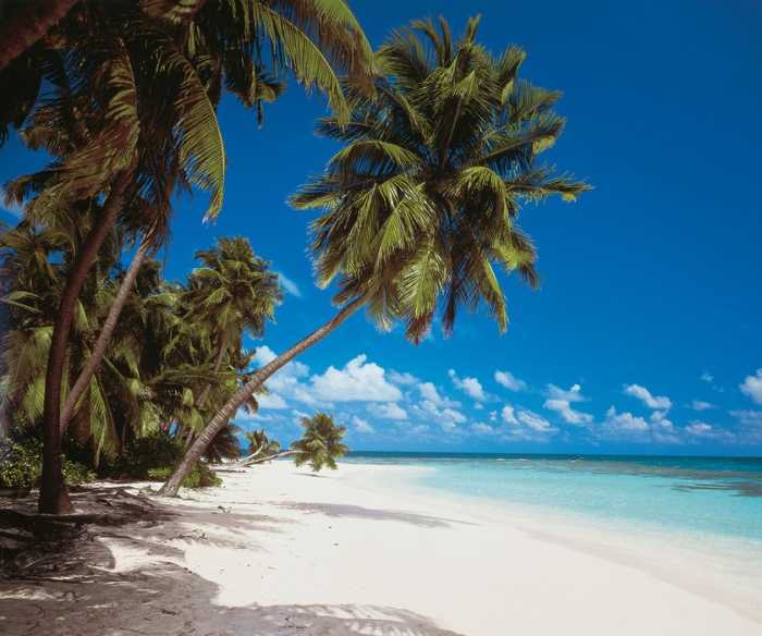 Premium Vlies Maldives