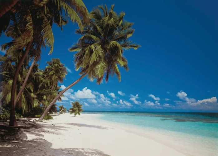 Vlies Maldives