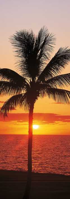 Premium Vlies Hawaii