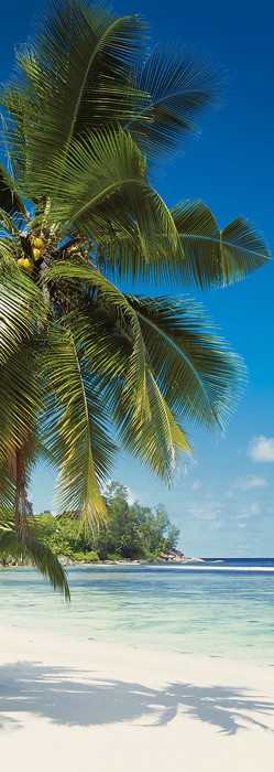 Premium Vlies Coconut Bay