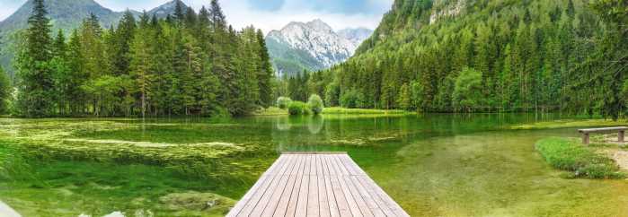 Standard Vlies Green Lake