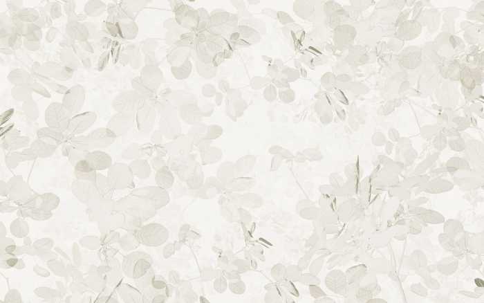 Premium Vlies Sheer Grey