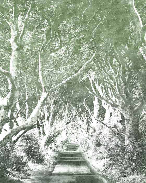 Premium Vlies Alley Graphite