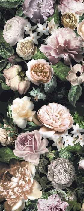 Premium Vlies Victoria Black Panel