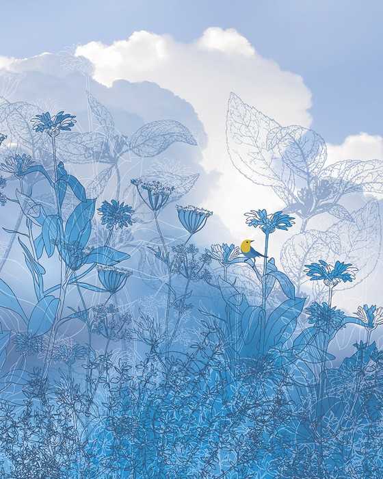 Premium Vlies Blue Sky