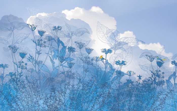 Premium Vlies Blue Sky II