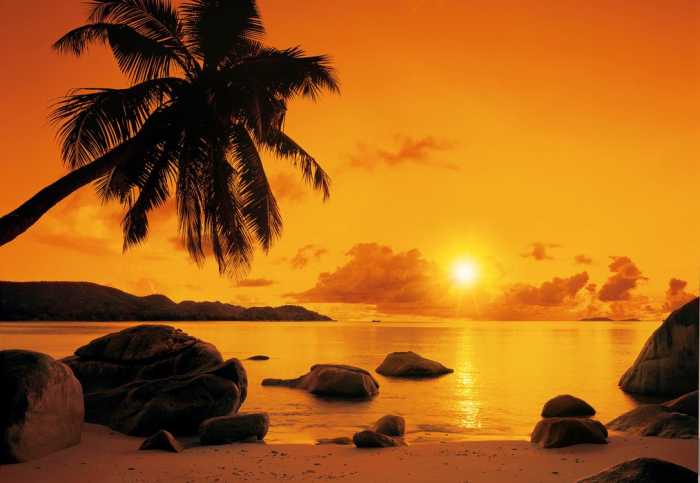 Papier Sunset