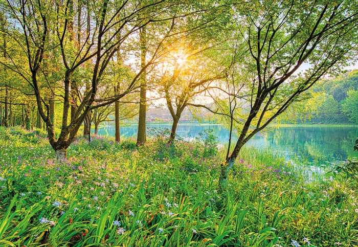 Papier Spring Lake