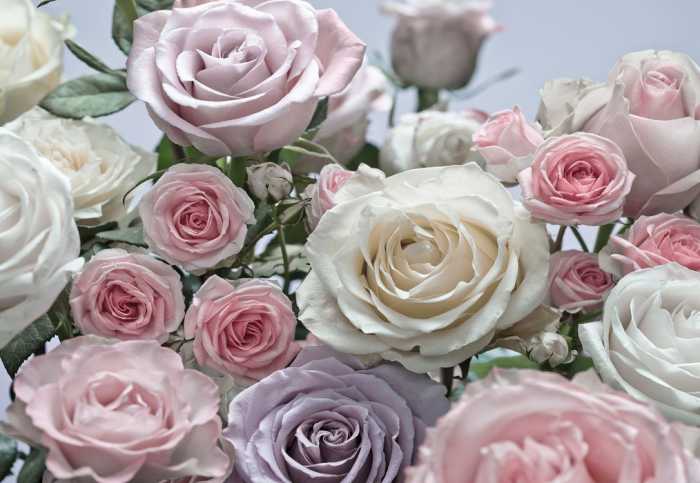 Papier Floraison