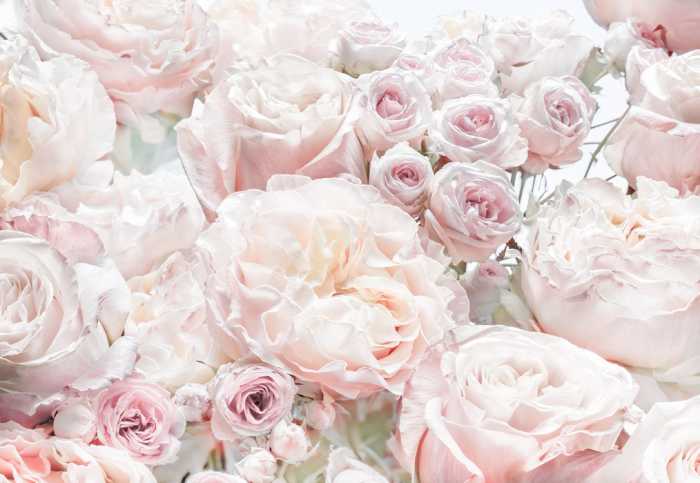 Papier Spring Roses