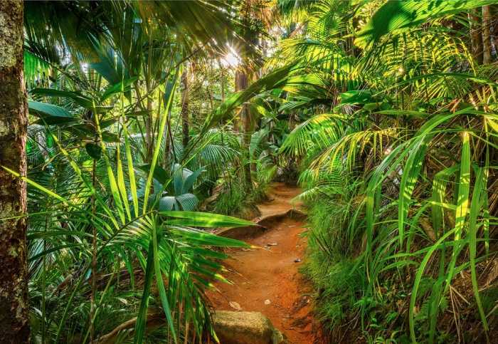 Papier Jungle Trail