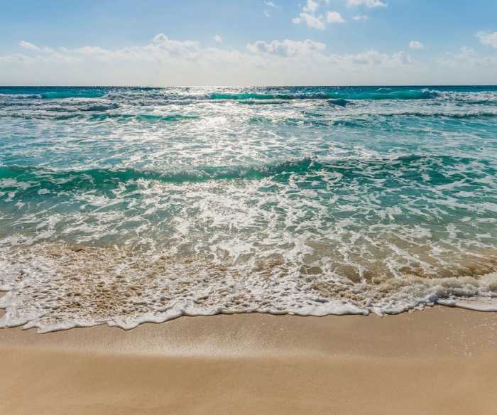 Premium Vlies Seaside