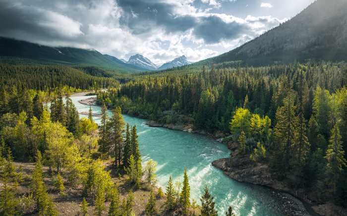 Digitaldrucktapete Wild Canada