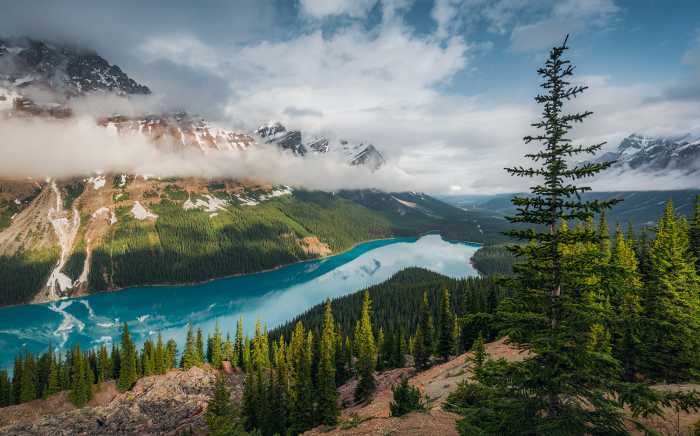 Digitaldrucktapete Wonderland Canada
