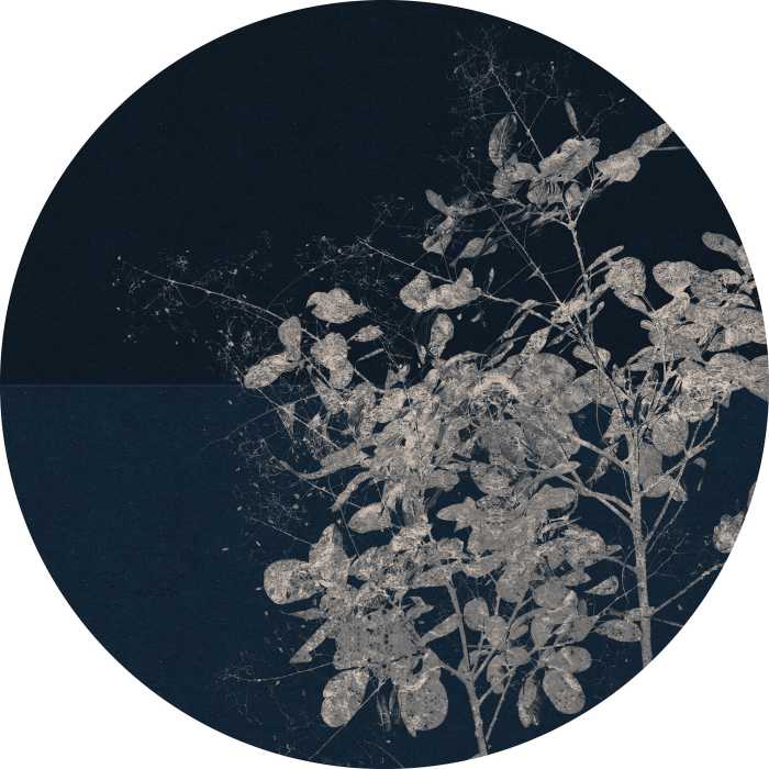 Runde Fototapete Branch