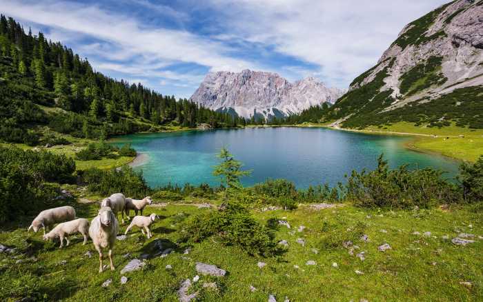 Digitaldrucktapete Paradise Lake