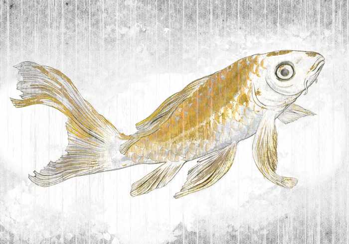 Digitaldrucktapete Golden Koi