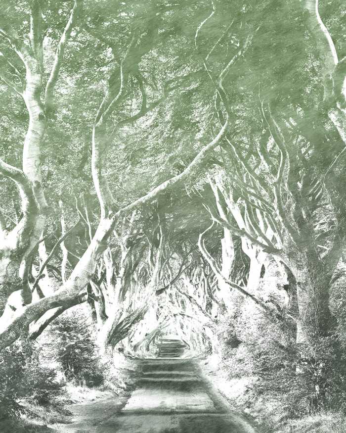 Digitaldrucktapete Alley Graphite