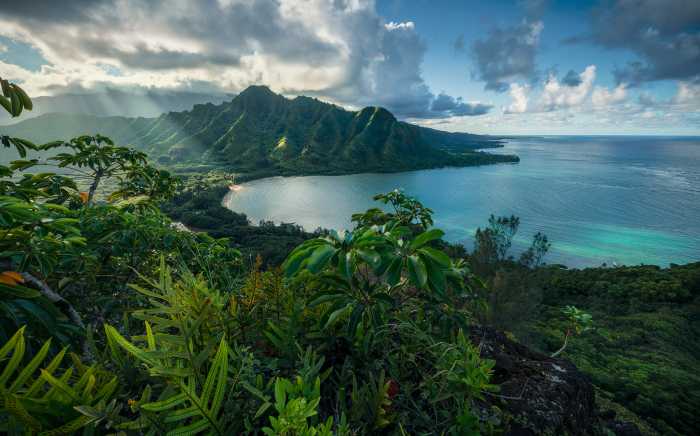 Digitaldrucktapete Jurassic Island 