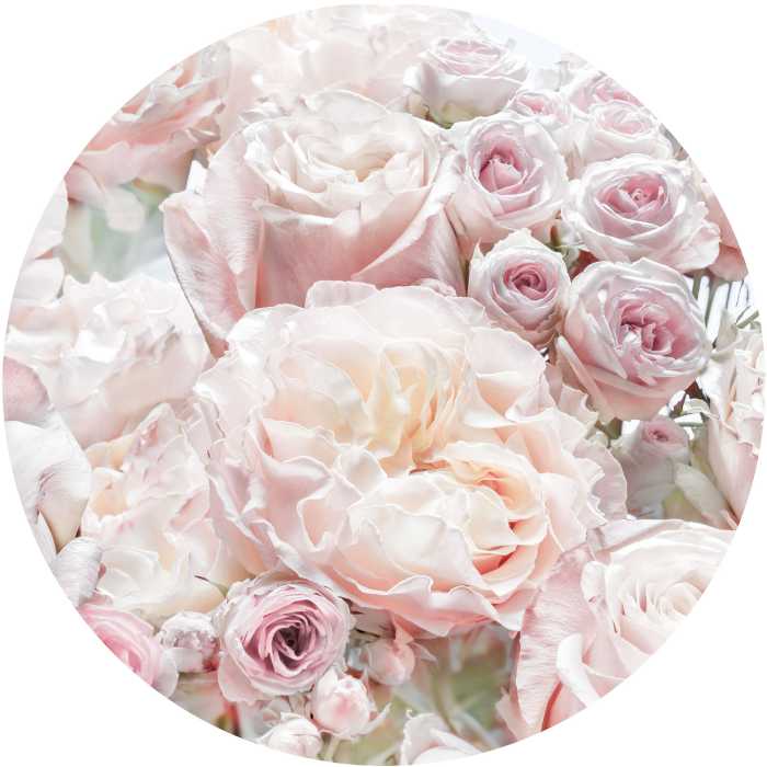 Runde Fototapete Pink and Cream Roses