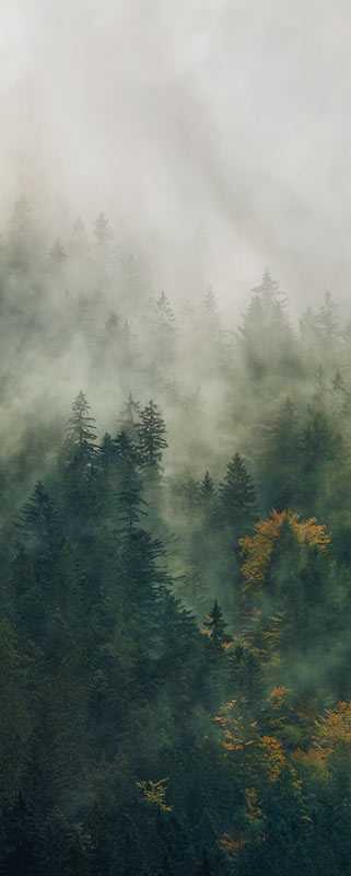 Digitaldrucktapete Tales of the Carpathians