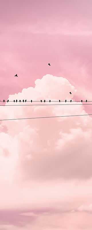 Digitaldrucktapete Cloud Wire