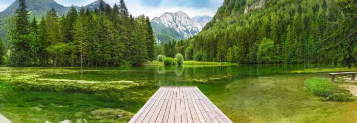 Fototapete Green Lake