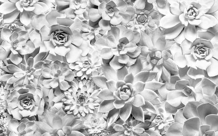 Digitaldrucktapete Shades Black and White