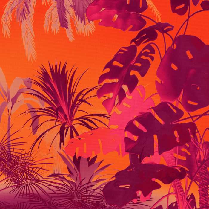 Digitaldrucktapete Funky Jungle