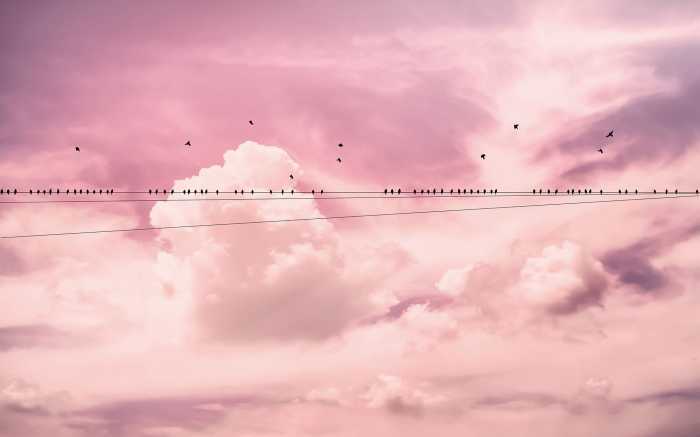 Digitaldrucktapete Cloud Wire
