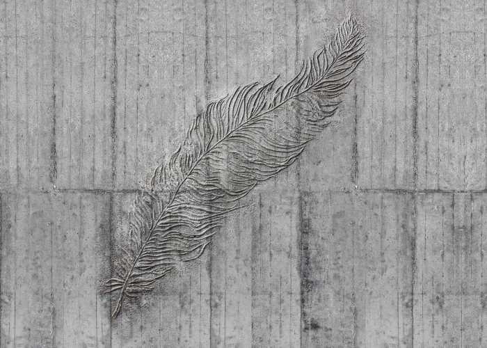 Digitaldrucktapete Concrete Feather